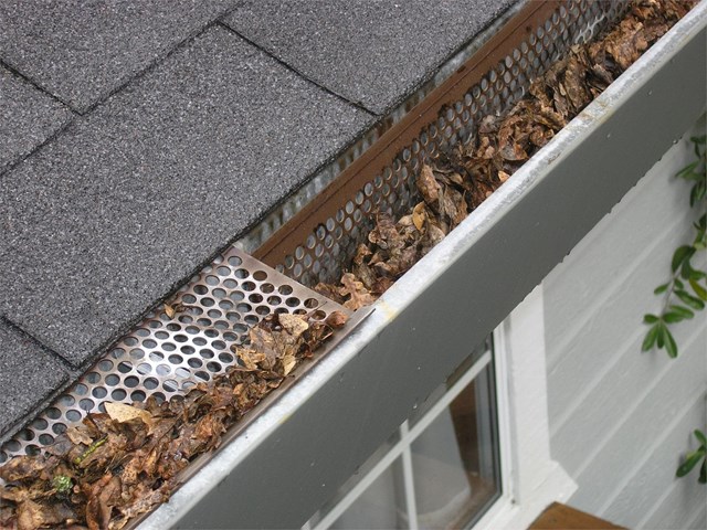 ¿Cómo limpiar los canalones del tejado?